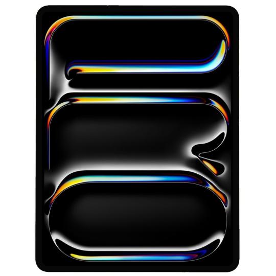 Apple iPad Pro 11" Wi-Fi + Cellular 2024 (M4) 512GB space schwarz