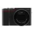 Panasonic Lumix DMC-TZ100 