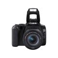 Image de Canon EOS 250D avec...