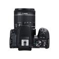 Image de Canon EOS 250D avec...