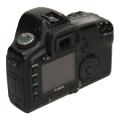 Immagine di Canon EOS 5D Body
