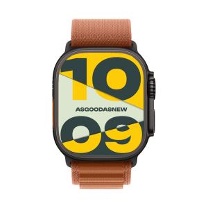 Apple Watch Ultra 3 GPS + Cellular 49mm Titan schwarz Alpine Loop terracotta S