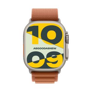 Apple Watch Ultra 3 GPS + Cellular 49mm Titan natur Alpine Loop terracotta S
