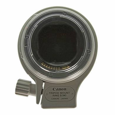 Canon EF 300mm 1:4.0 L IS USM noir blanc