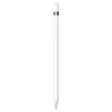 Apple Pencil 1. Generation - Adaptateur blanc inclus