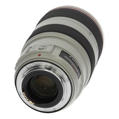 Canon EF 70-300mm 1:4-5.6 L IS USM negro blanco