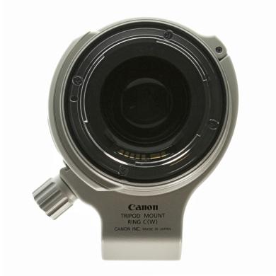 Canon EF 28-300mm 1:3.5-5.6 L IS USM