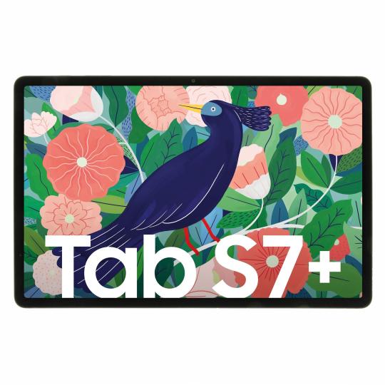 Samsung Galaxy Tab S7+ (T976B) 5G 256GB plata