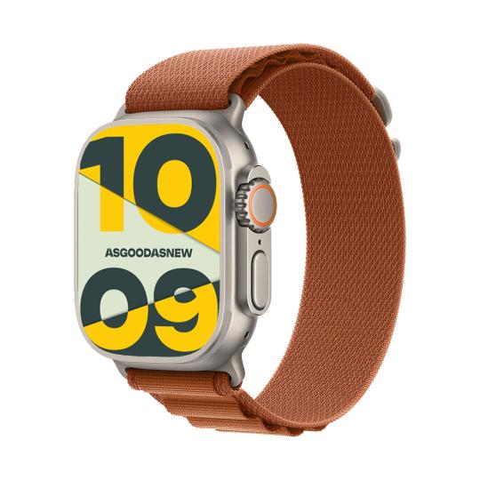 Apple Watch Ultra 3 GPS + Cellular 49mm Titanio natural Alpine Loop terracotta L