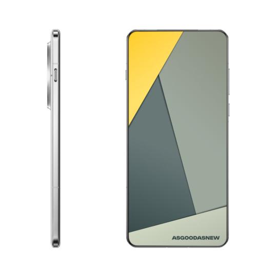 OnePlus 13 512GB arctic Dawn