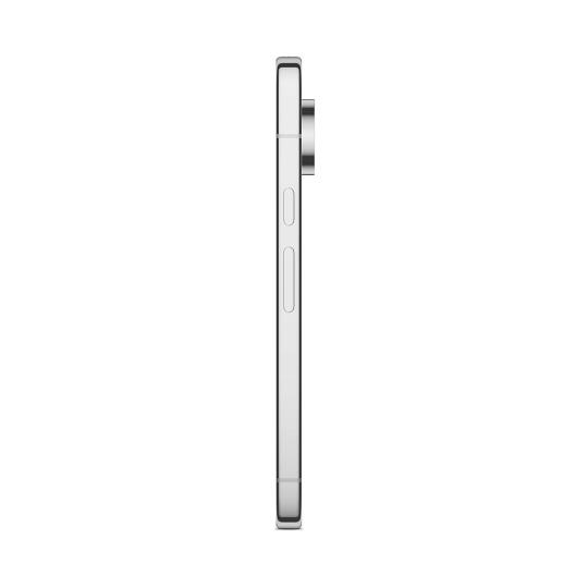 Google Pixel 11 Pro 256GB Fog