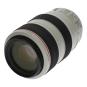 Canon EF 70-300mm 1:4-5.6 L IS USM nero bianco